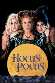 อิทธิฤทธิ์แม่มดตกกระป๋อง Hocus Pocus (1993)