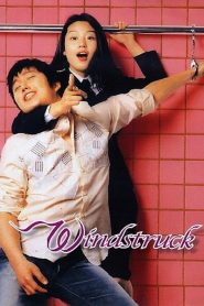 ยัยตัวร้ายกับนายเซ่อซ่า Windstruck (2004)