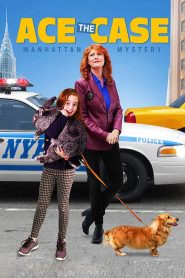 Ace the Case: Manhattan Mystery (2016)