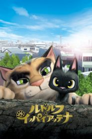 รูดอล์ฟ เหมียวน้อยผจญเมือง Rudolf the Black Cat (2016)
