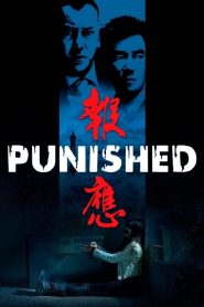 แค้น คลั่ง ล้าง โคตร Punished (2011)