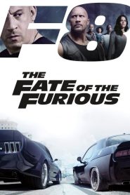 เร็ว..แรงทะลุนรก 8 The Fate of the Furious (2017)