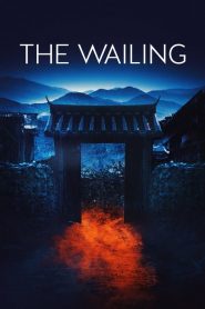 ฆาตกรรมอำปีศาจ The Wailing (2016)