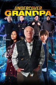 คุณปู่ผมเป็นสายลับ Undercover Grandpa (2017)