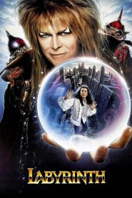 มหัศจรรย์เขาวงกต Labyrinth (1986)