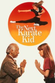 The Next Karate Kid (1994)