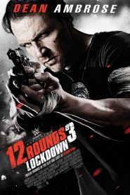 ฝ่าวิกฤติ 12 รอบ 3 :ล็อคดาวน์ 12 Rounds 3: Lockdown (2015)