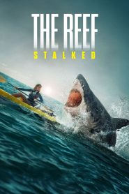 The Reef: Stalked (2022) พากย์ไทย