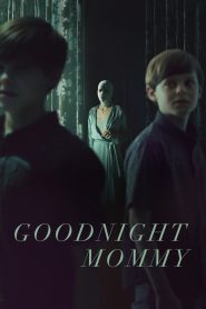 Goodnight Mommy (2022) พากย์ไทย