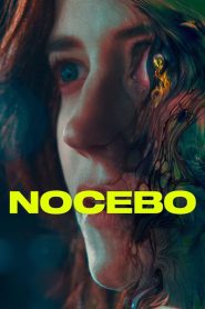 แม่บ้านหมอผี Nocebo (2022)