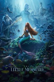 เงือกน้อยผจญภัย The Little Mermaid (2023)