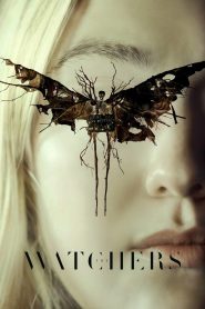 The Watchers (2024) พากย์ไทย